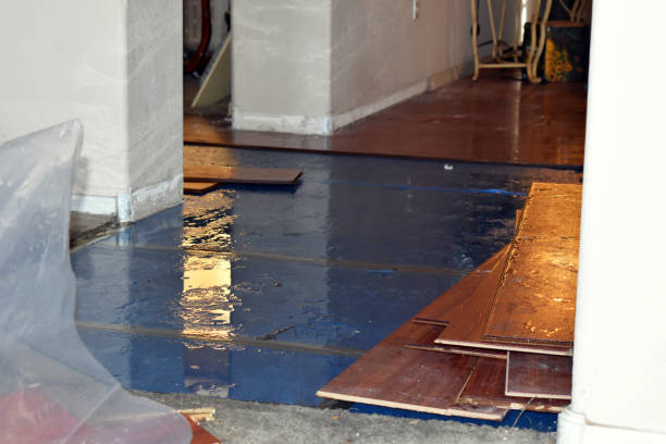 Professional Water Damage Restoration technician working in Palestine, OH